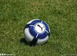 韩鹏寄语,瓦科,心中最佳射,开云体育,KaiYun,Sports,开云体育官网,开云体育官网,开云体育下载,开云体育APP